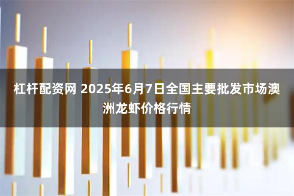 杠杆配资网 2025年6月7日全国主要批发市场澳洲龙虾价格行情