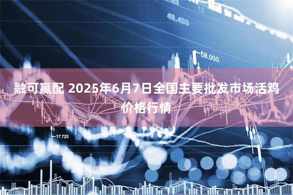 融可赢配 2025年6月7日全国主要批发市场活鸡价格行情