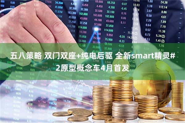五八策略 双门双座+纯电后驱 全新smart精灵#2原型概念车4月首发