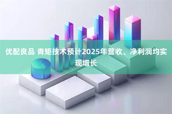 优配良品 青矩技术预计2025年营收、净利润均实现增长