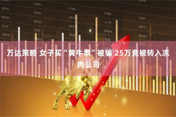 万达策略 女子买“黄牛票”被骗 25万竟被转入冻肉公司